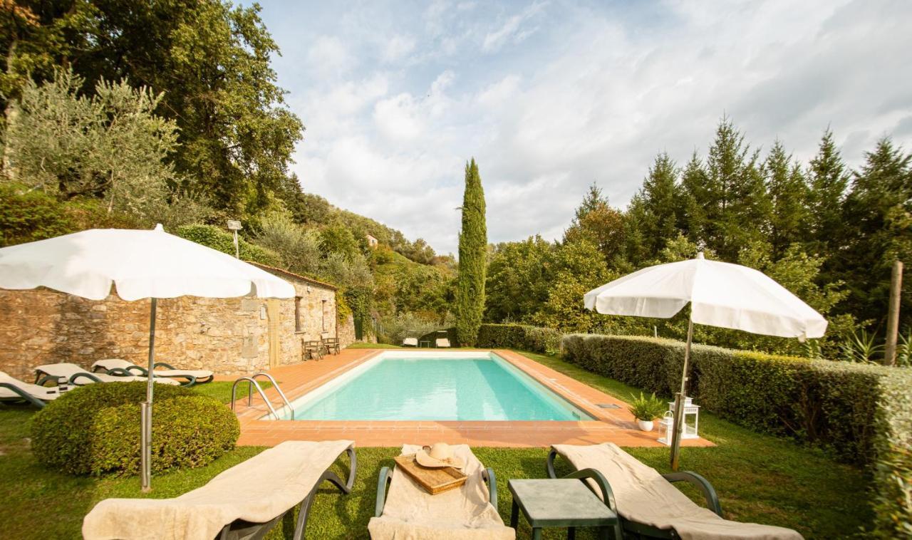 Casetta Di Butia, Ginestra Apartment With Swimming Pool Borgo a Mozzano Kültér fotó