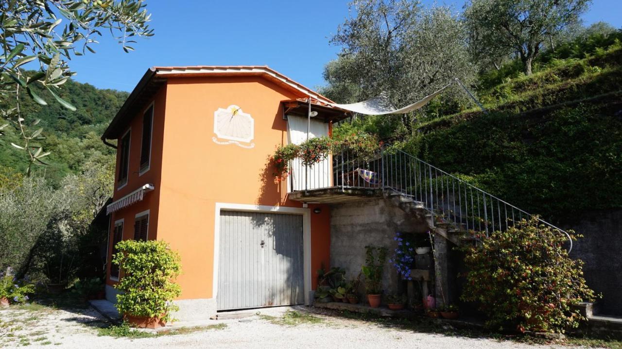 Casetta Di Butia, Ginestra Apartment With Swimming Pool Borgo a Mozzano Kültér fotó