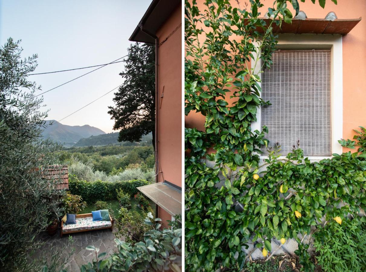 Casetta Di Butia, Ginestra Apartment With Swimming Pool Borgo a Mozzano Kültér fotó