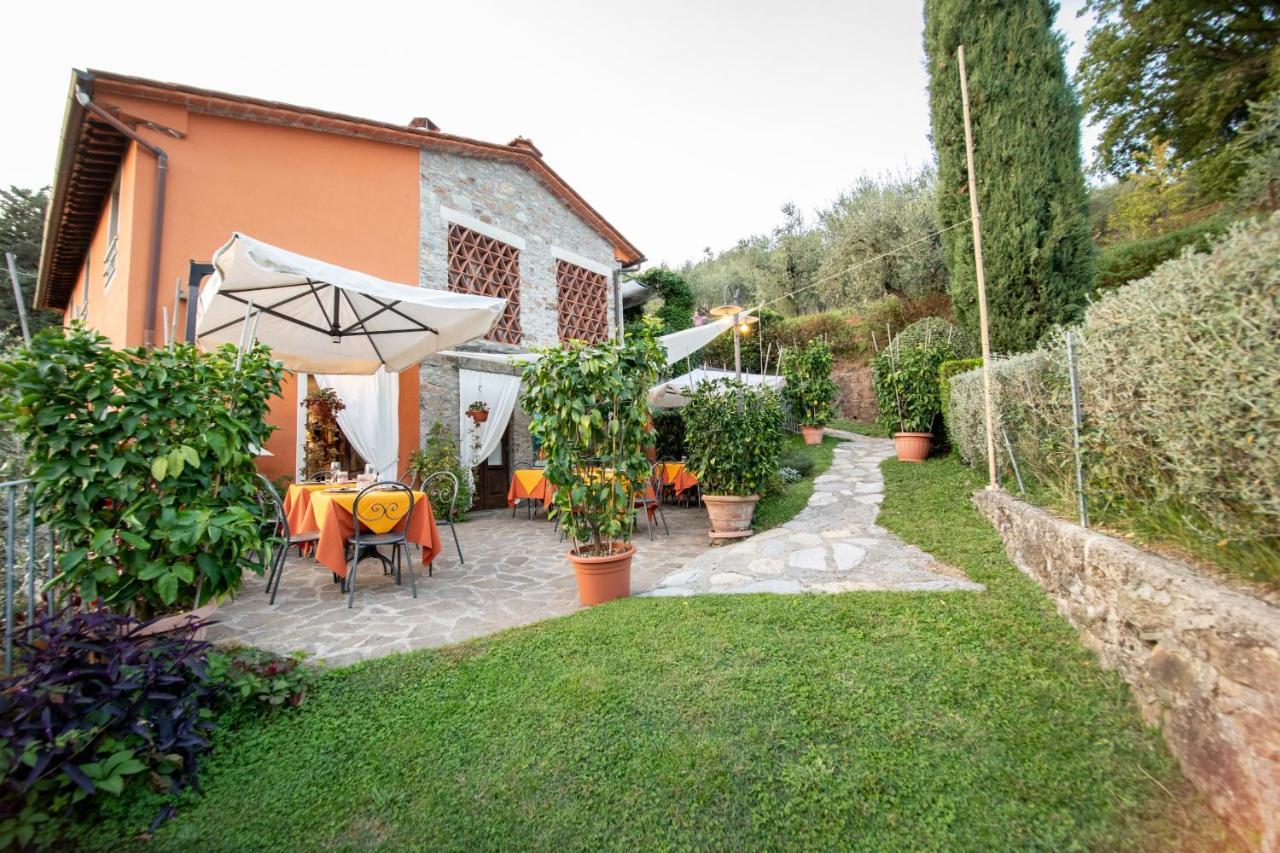 Casetta Di Butia, Ginestra Apartment With Swimming Pool Borgo a Mozzano Kültér fotó