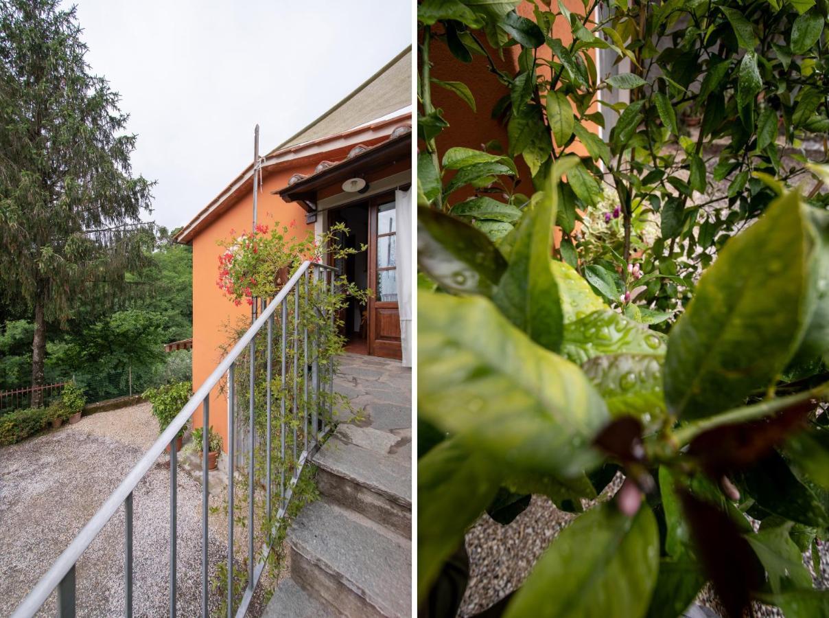Casetta Di Butia, Ginestra Apartment With Swimming Pool Borgo a Mozzano Kültér fotó