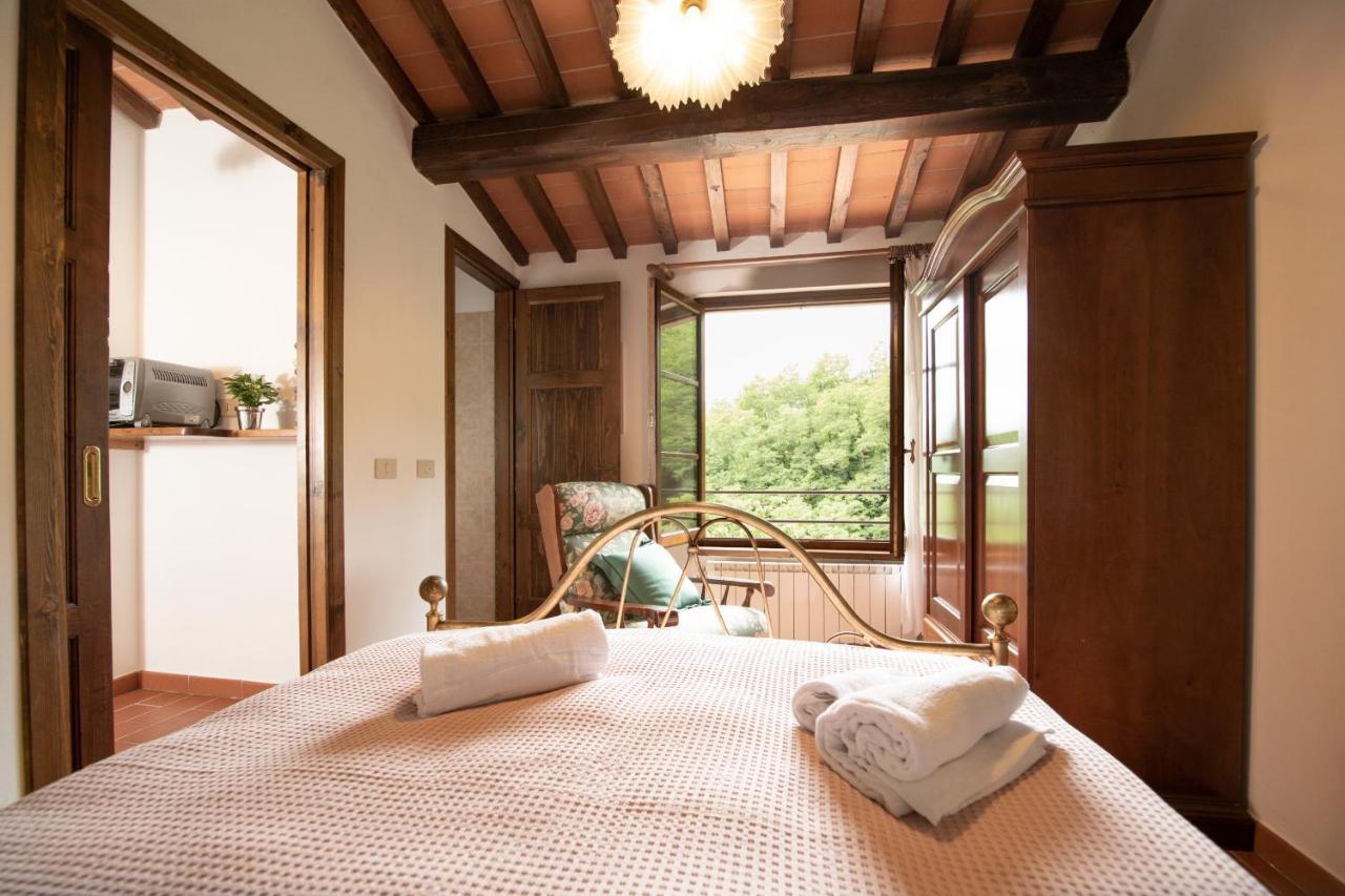 Casetta Di Butia, Ginestra Apartment With Swimming Pool Borgo a Mozzano Kültér fotó
