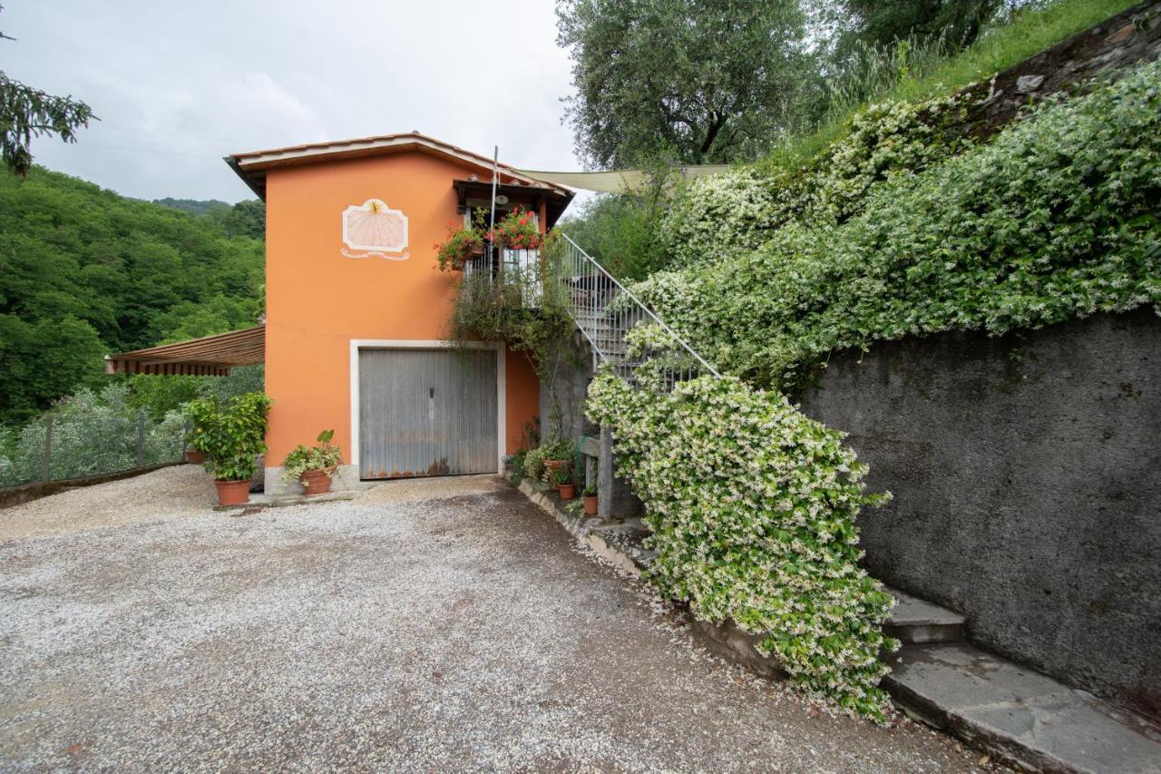 Casetta Di Butia, Ginestra Apartment With Swimming Pool Borgo a Mozzano Kültér fotó