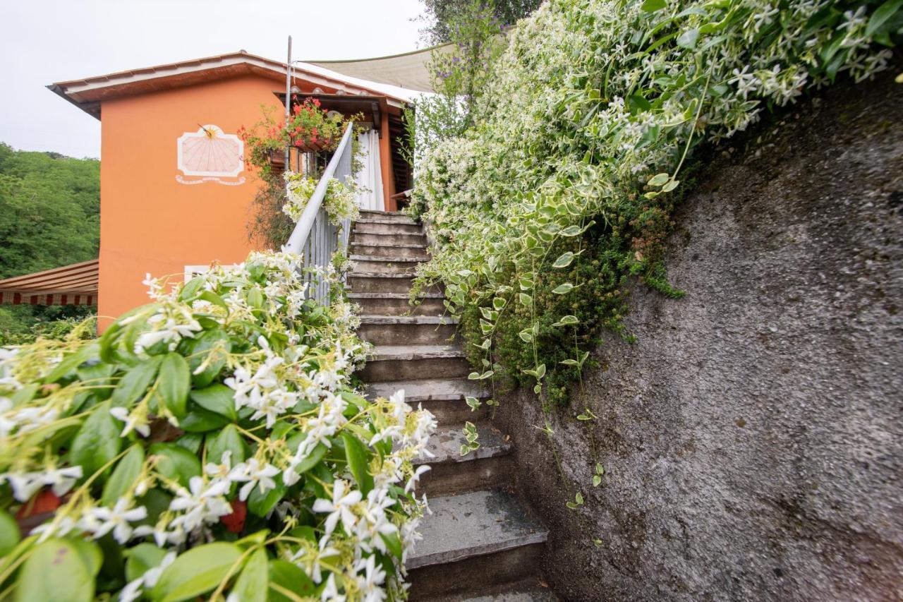 Casetta Di Butia, Ginestra Apartment With Swimming Pool Borgo a Mozzano Kültér fotó