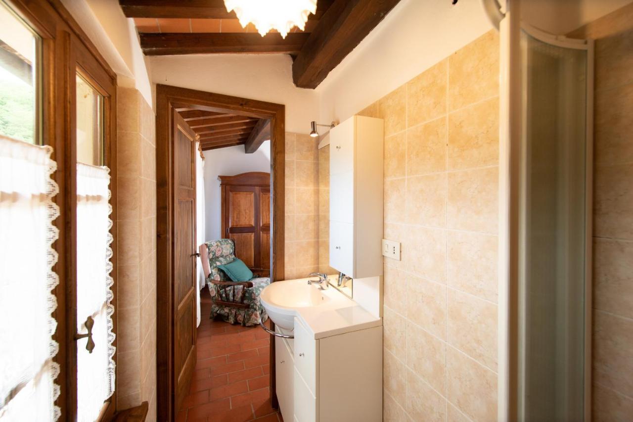 Casetta Di Butia, Ginestra Apartment With Swimming Pool Borgo a Mozzano Kültér fotó